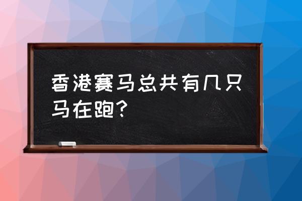 香港跑马地马场在哪里 香港赛马总共有几只马在跑？