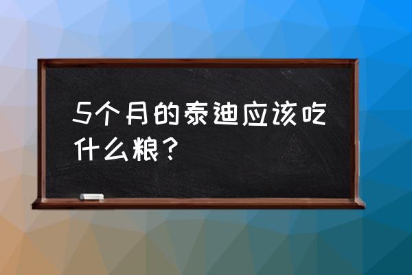 泰迪狗吃什么食物最好 5个月的泰迪应该吃什么粮？