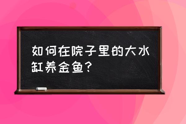 家庭鱼缸养金鱼知识大全 如何在院子里的大水缸养金鱼？