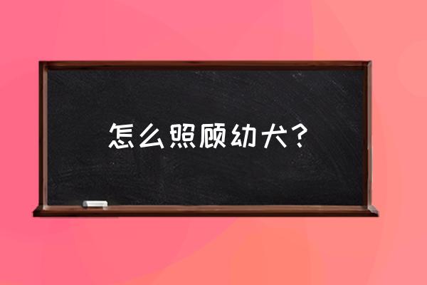 新生儿0-7天照顾方法大全 怎么照顾幼犬？