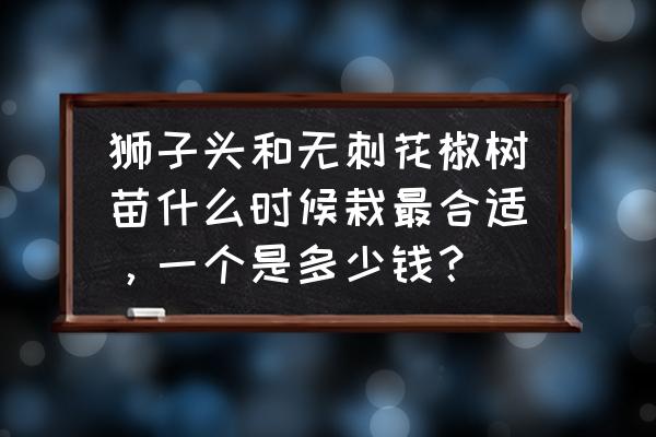 光遇狮子头套怎么获得 狮子头和无刺花椒树苗什么时候栽最合适，一个是多少钱？