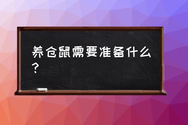 仓鼠怎么提高寿命 养仓鼠需要准备什么？