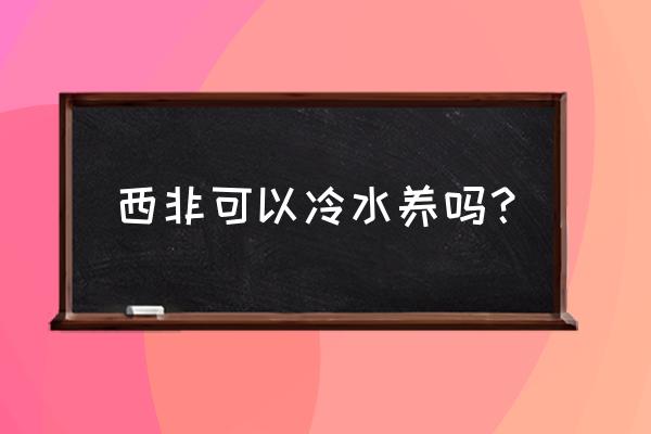 西非侧颈龟和沼泽侧颈龟哪个好养 西非可以冷水养吗？