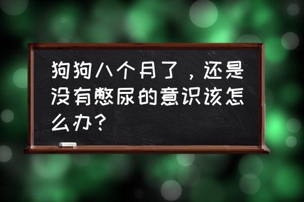 狗狗憋尿久了尿不出怎么办 狗狗八个月了，还是没有憋尿的意识该怎么办？