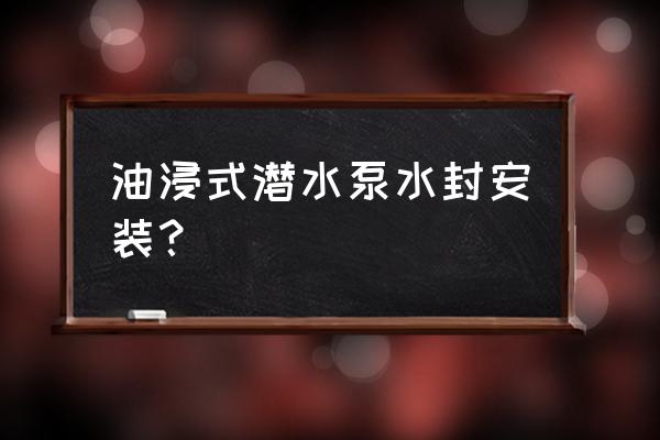 真空泵水封安装 油浸式潜水泵水封安装？