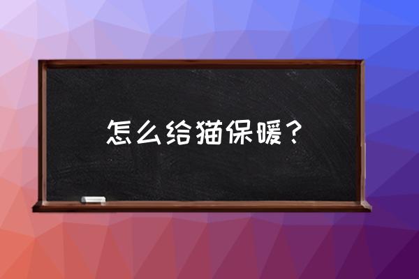 天冷怎么给猫保暖 怎么给猫保暖？