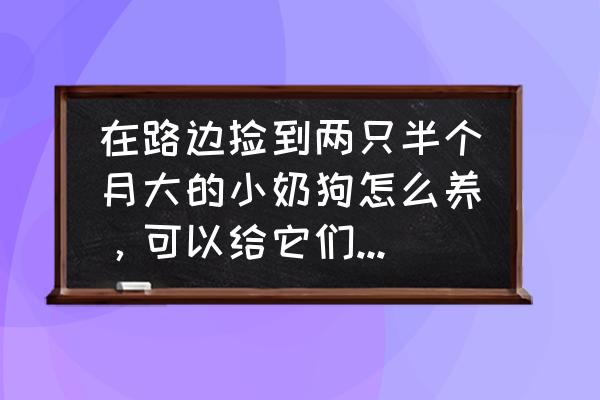 捏小狗的步骤又少又简单 在路边捡到两只半个月大的小奶狗怎么养，可以给它们喝牛奶吗？