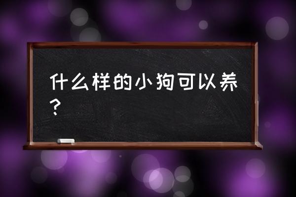 怎么训练五个月大的约克夏上厕所 什么样的小狗可以养？