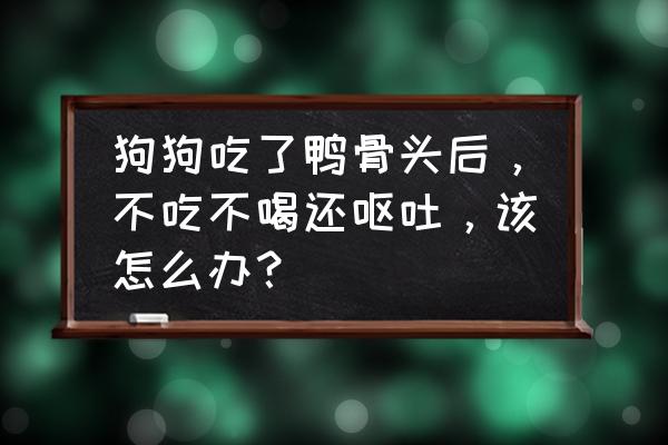 狗吃了骨头死前症状 狗狗吃了鸭骨头后，不吃不喝还呕吐，该怎么办？