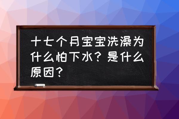 正确引导婴儿洗澡方法 十七个月宝宝洗澡为什么怕下水？是什么原因？