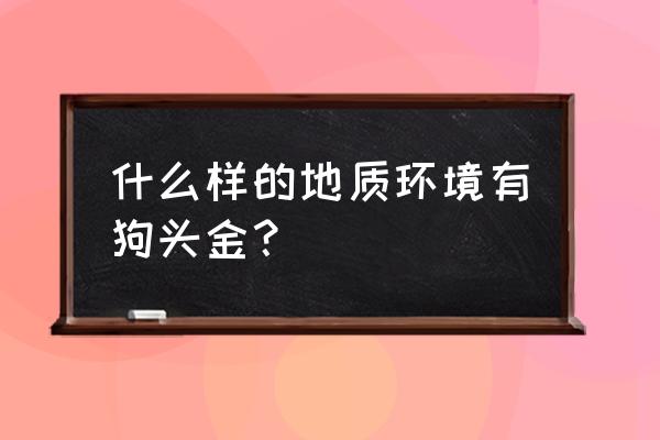 如何鉴别狗头金 什么样的地质环境有狗头金？