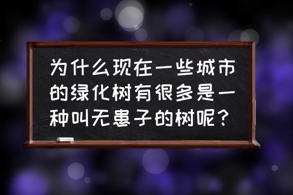 无患子在佛家的寓意 为什么现在一些城市的绿化树有很多是一种叫无患子的树呢？