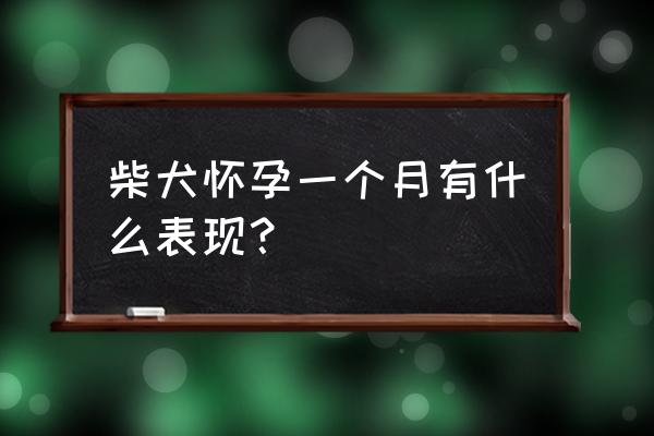 孕妇怀孕第一个月是怎样的征兆 柴犬怀孕一个月有什么表现？