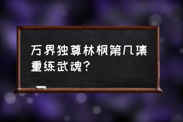 万界独尊51集什么时候更新 万界独尊林枫第几集重练武魂？