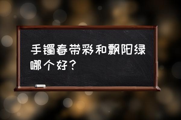 飘阳绿翡翠手镯特点 手镯春带彩和飘阳绿哪个好？