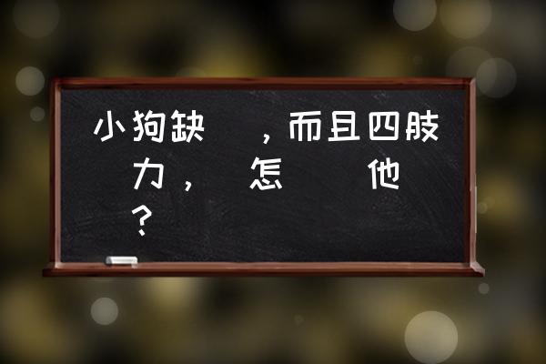 成年狗补钙最好的方法 小狗缺鈣，而且四肢無力，該怎樣幫他補鈣？