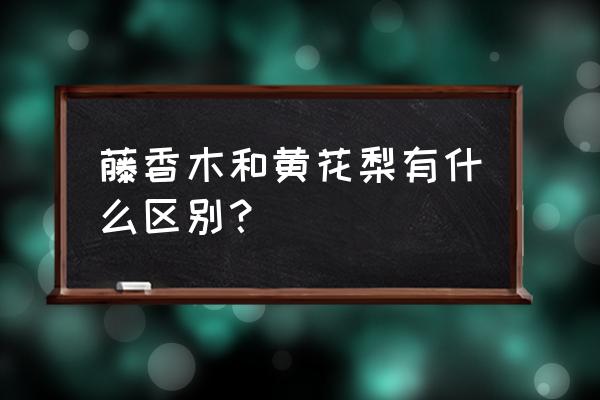 黄檀木与海南黄花梨木的区别 藤香木和黄花梨有什么区别？