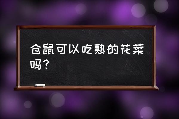 仓鼠可以吃有盐的蔬菜吗 仓鼠可以吃熟的花菜吗？