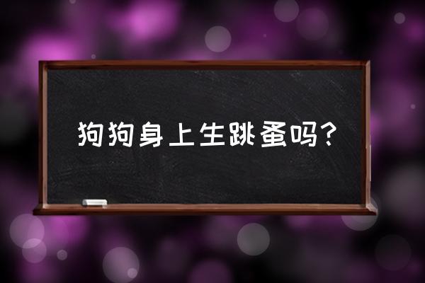 狗狗经常有跳蚤怎么回事 狗狗身上生跳蚤吗？